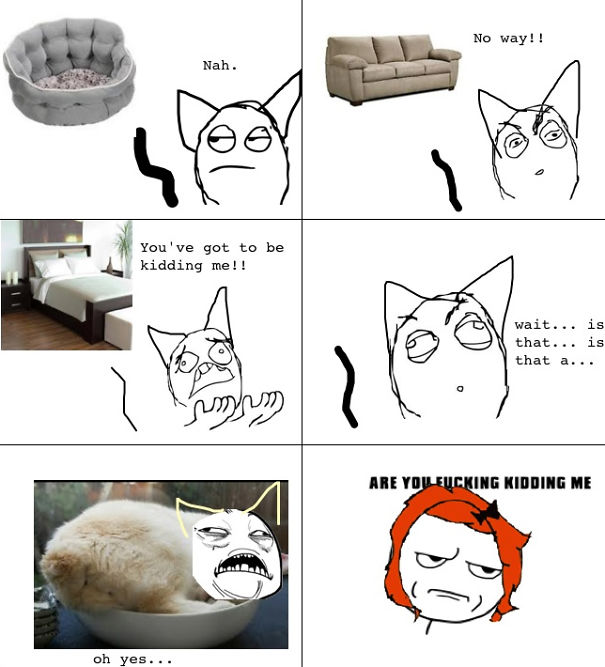 Finding My Seat Is Never Easy