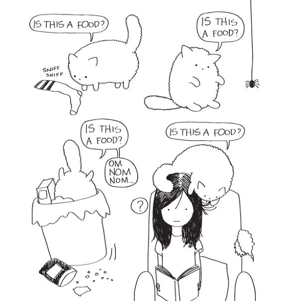 Food, Food Everywhere