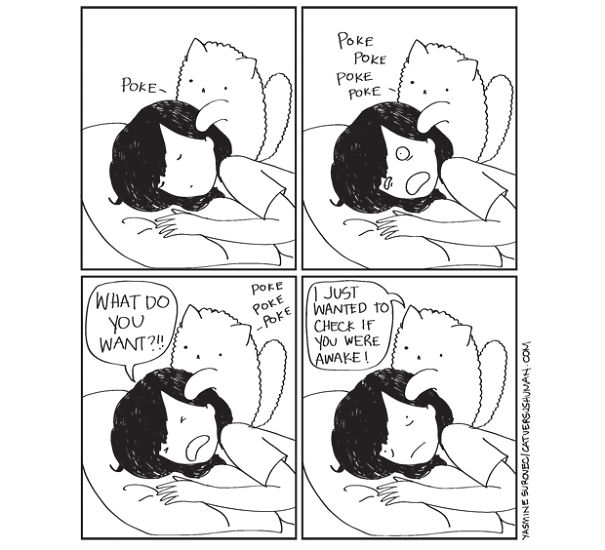 Just A Cat Doing Cat Stuff