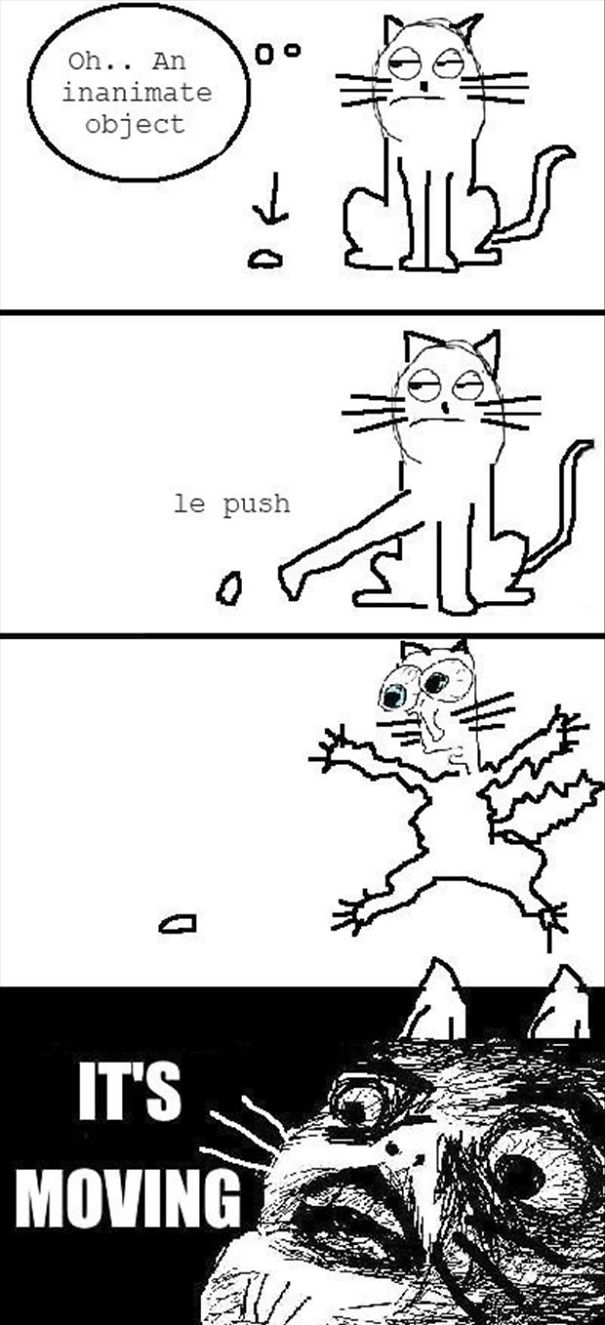 Relationship With Inanimate Objects