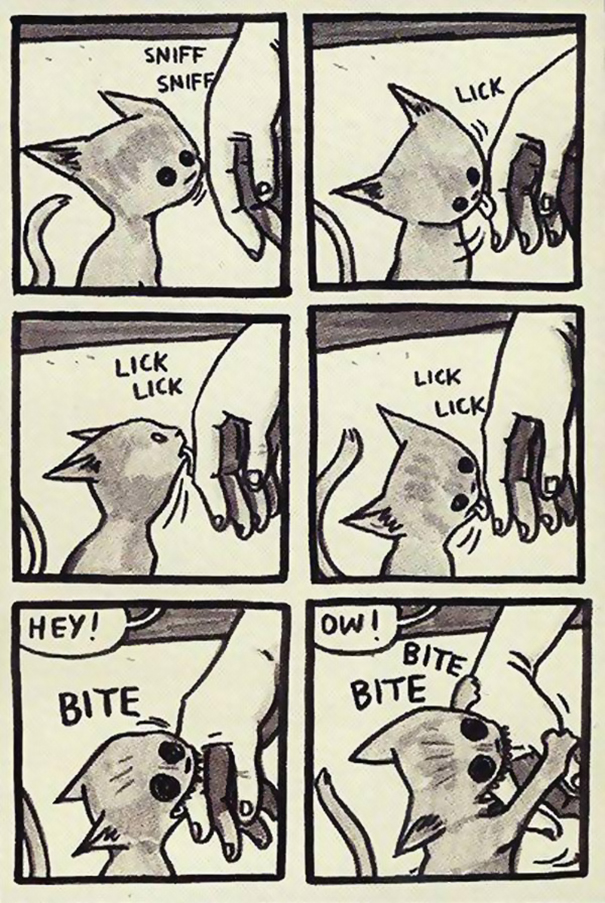 The Devil In Disguise