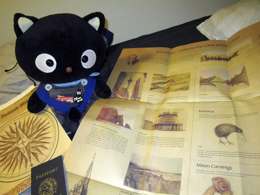 choco-cat-traveling-plush-toy-2