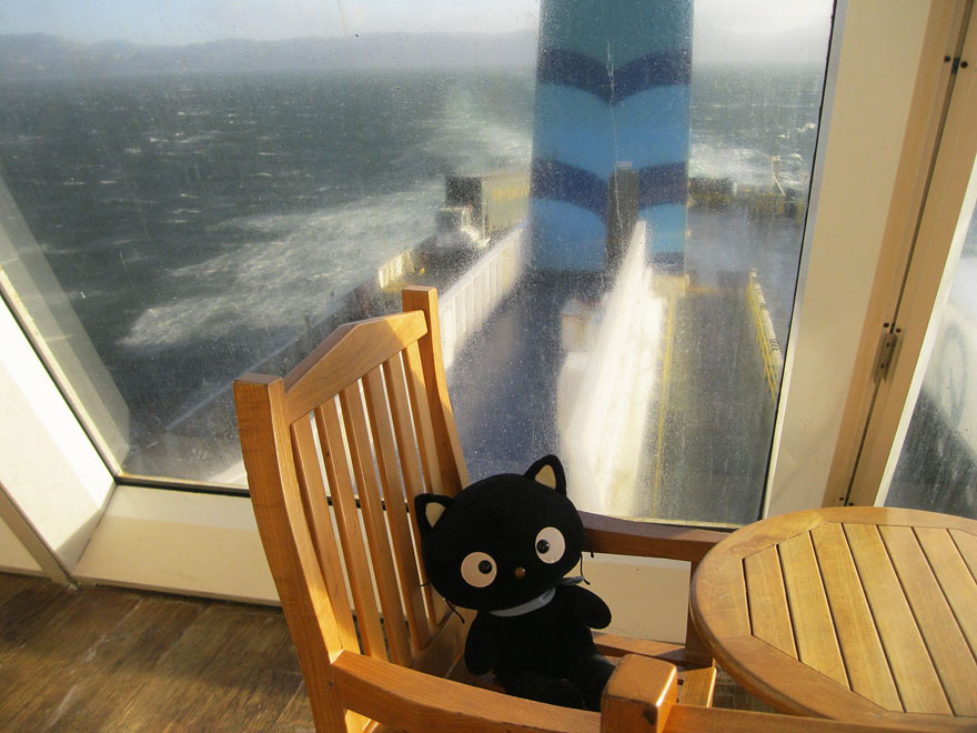 choco-cat-traveling-plush-toy-5