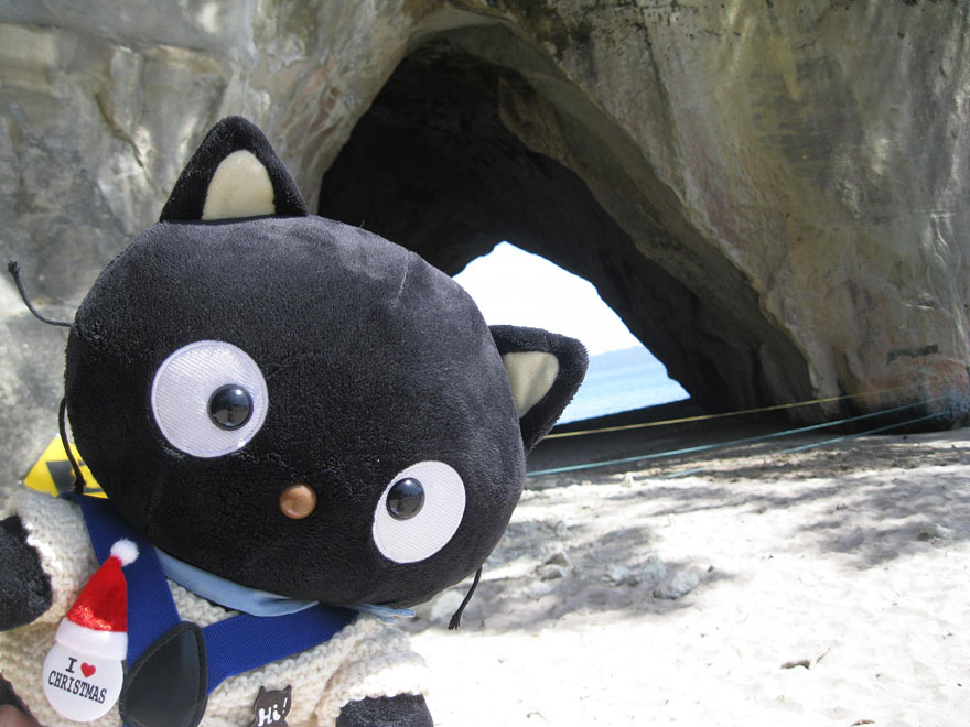 choco-cat-traveling-plush-toy-6