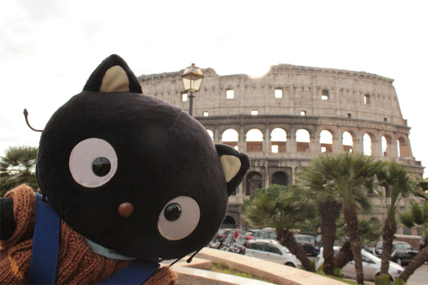 Meet Choco Cat: The Most Well-Traveled Kitty With His Own Passpurr