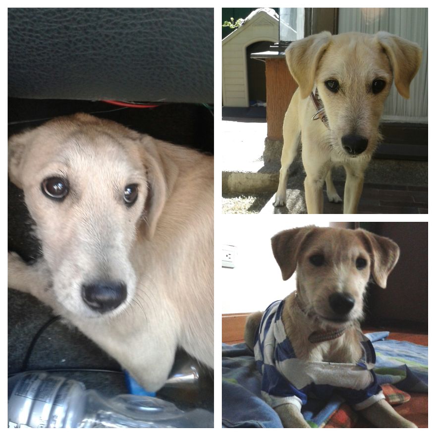 A Little New Year's Gift (omega)