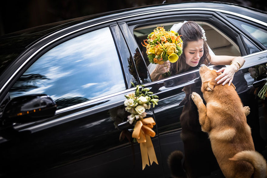 creative-best-wedding-photography-awards-2014-ispwp-contest-9 creative-best-wedding-photography-awards-2014-ispwp-contest-9