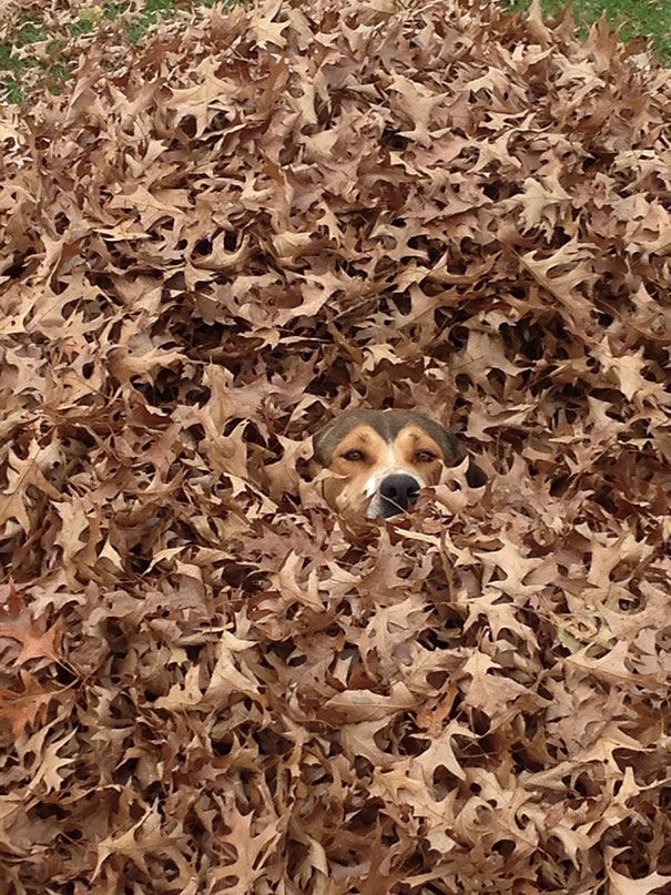 Hide And Seek