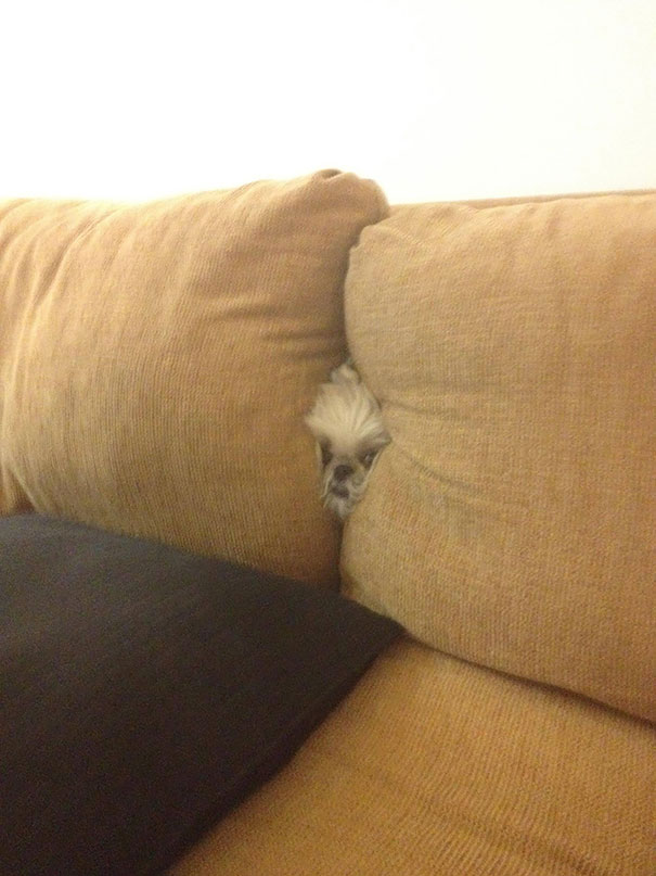 Hide And Seek
