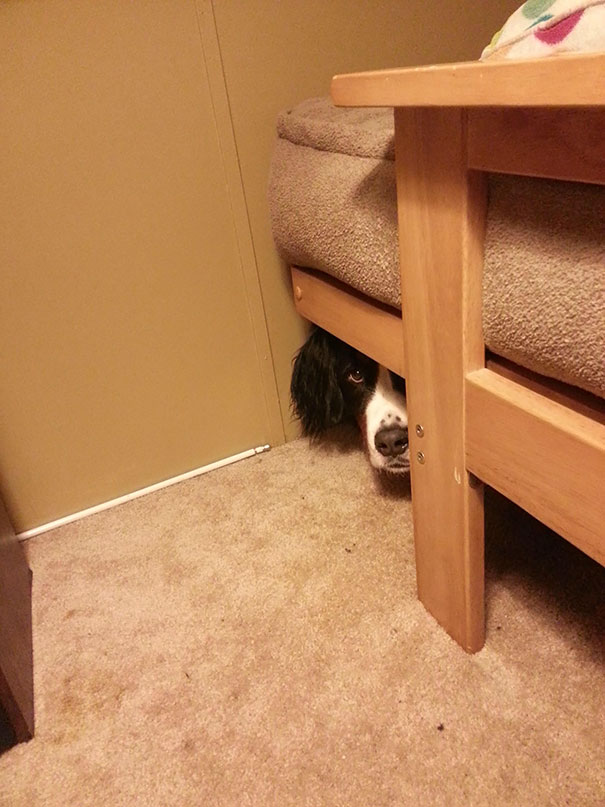 Hide And Seek