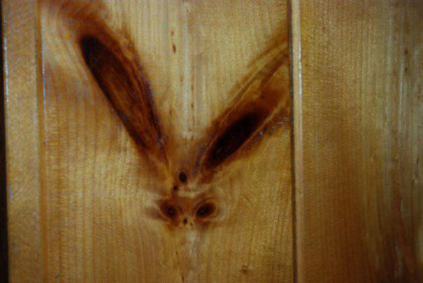 Evil Wood Bunny