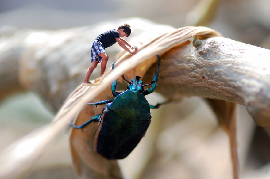 The Macro World In My Backyard