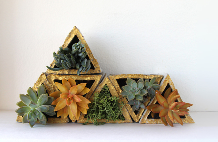 Geometrical Succulent Garden