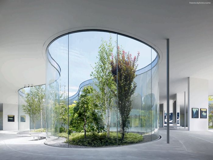 A Park Inside A House