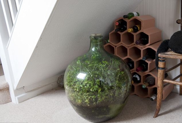 Garden Inside A Bottle