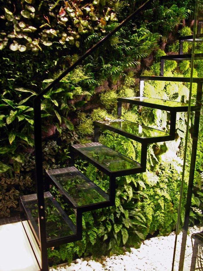 Greenhouse Stairs