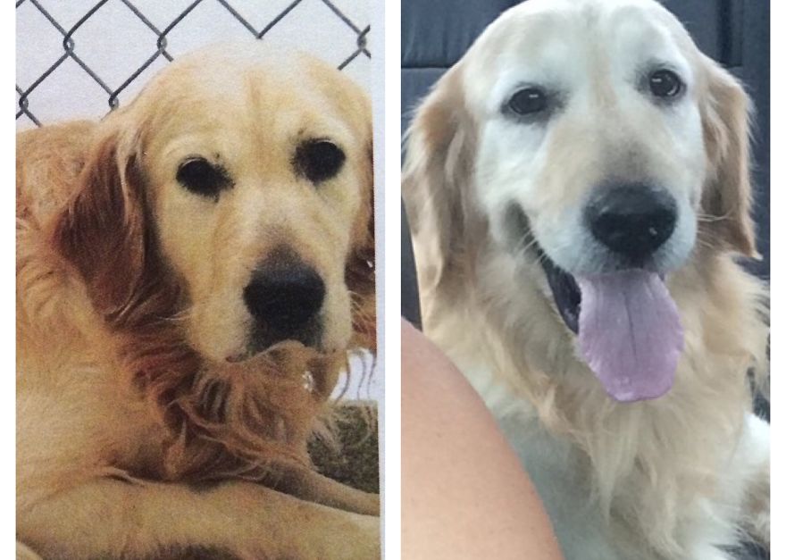 Griffey A Few Weeks Later.