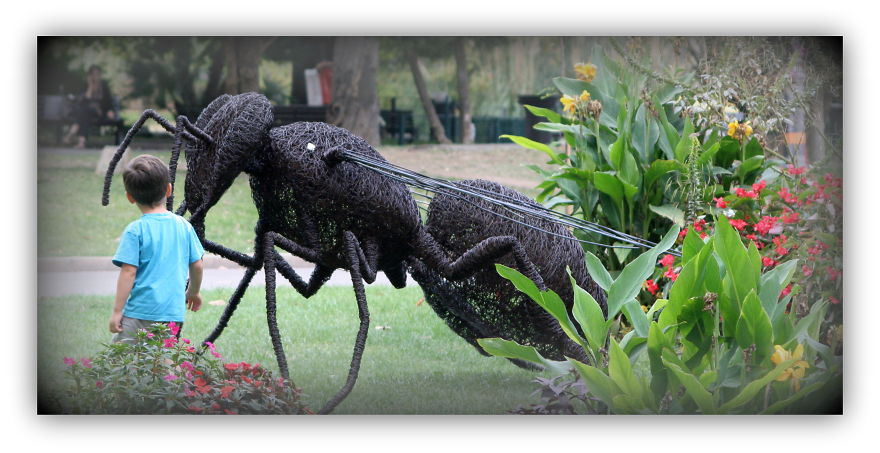 Iron Wire Bee: David Vanorbeek, 250 Cm, °2008