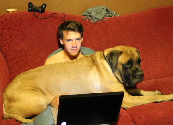 Your Cats Have Nothing On Hank