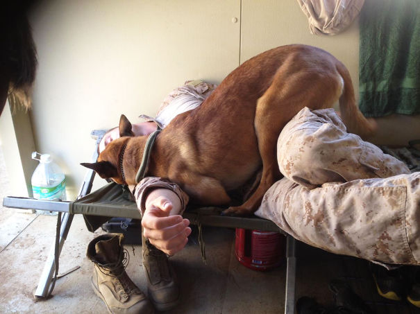 "If I Fit, I Will Sit"