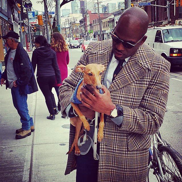 iggy-joey-stylish-dog-3 iggy-joey-stylish-dog-3