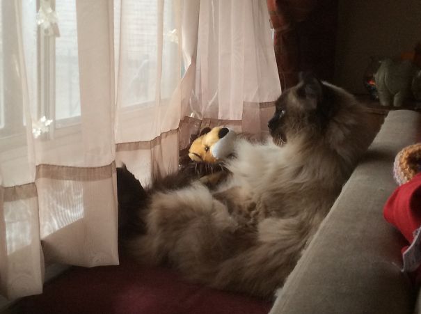 Watching The World Go By