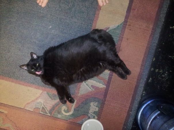 That Was Good???? What !