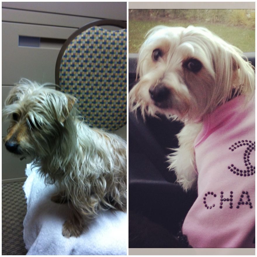 Bella...from Homeless To Diva!