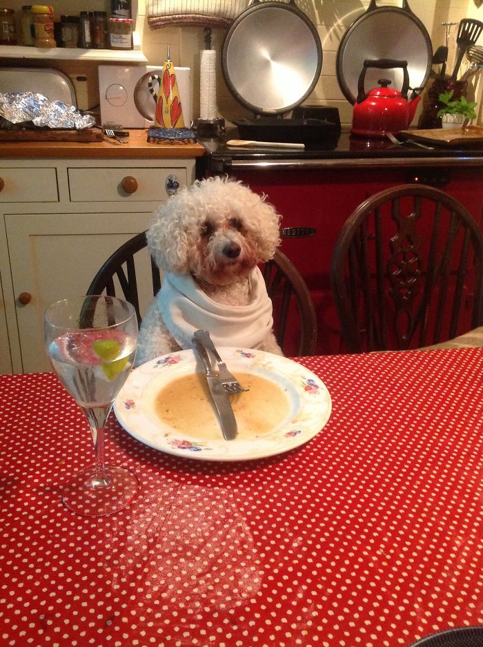 Yes, I'd Love Some More!