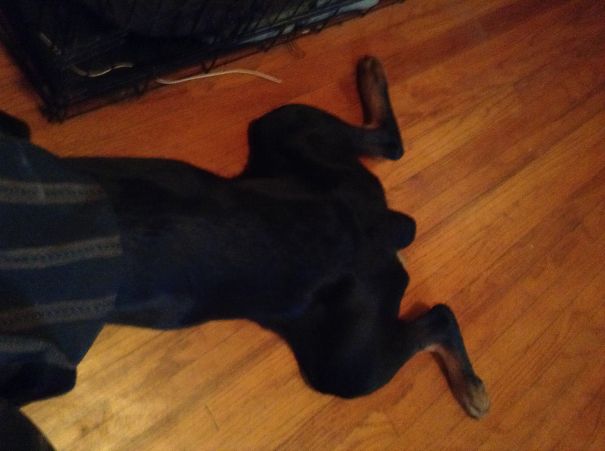 It's Not Bath Time....