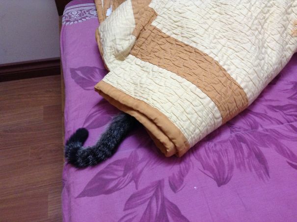 I Thought Nobody See Me.