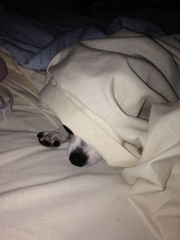 She Thinks I Can't See Her