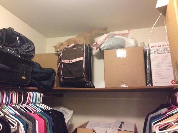 No I Am Not Stuck. I, Um, Meant To Not Know How To Get Down