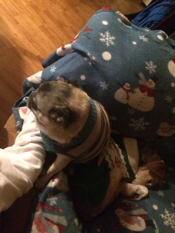 I Am Hiding Under My Friend... Shhh I'm Not Here