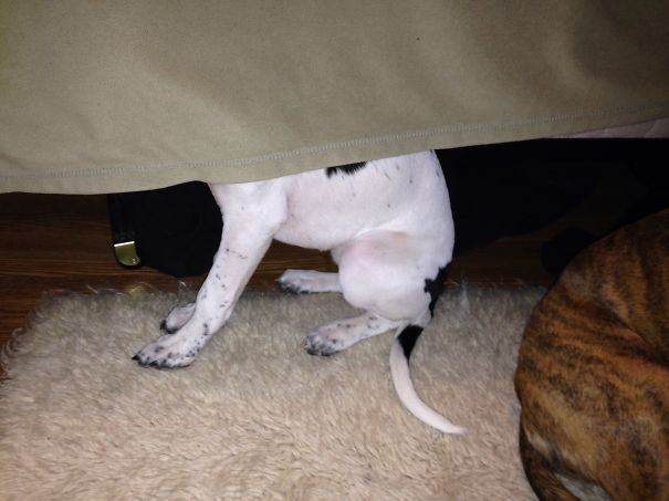 She Thinks I Can't See Her Lol