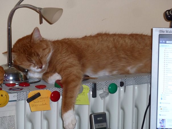 Someones Like It Hot