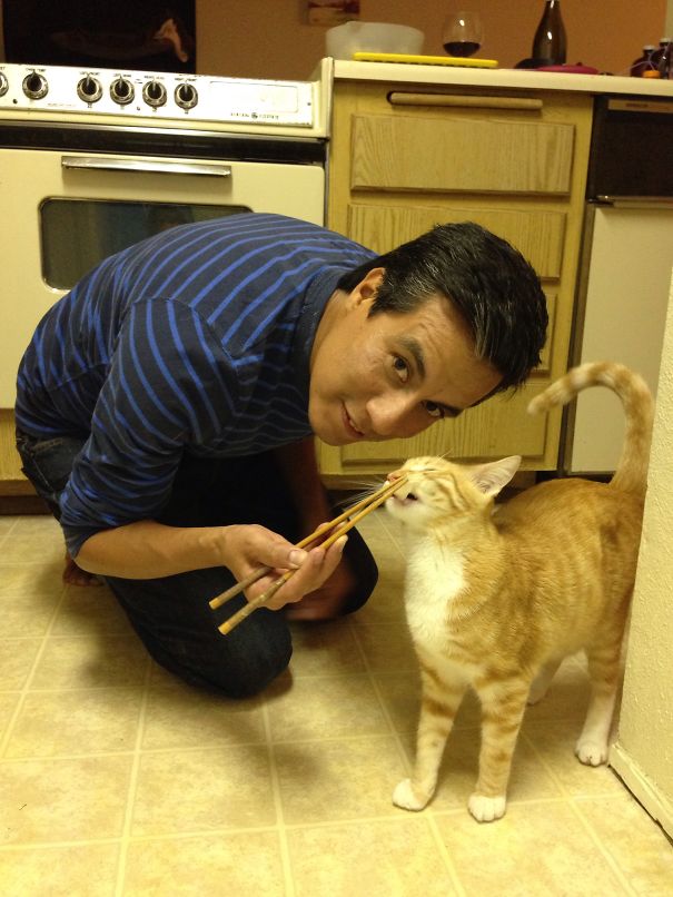 Chopsticks Tuna Meal