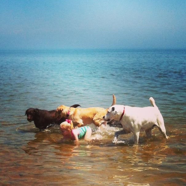 Like A Dog To Water.