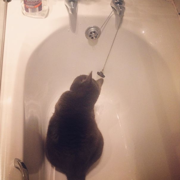 Loves It In The Bath