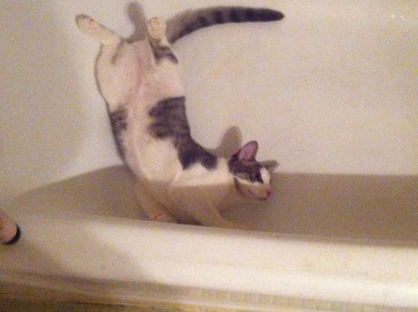 Playing Water After A Shower