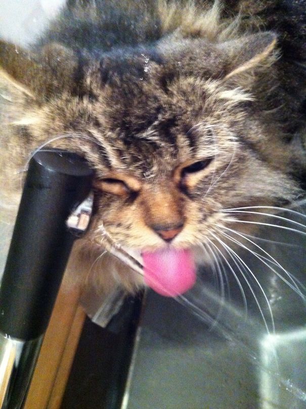 I've Been Gasping All Day!