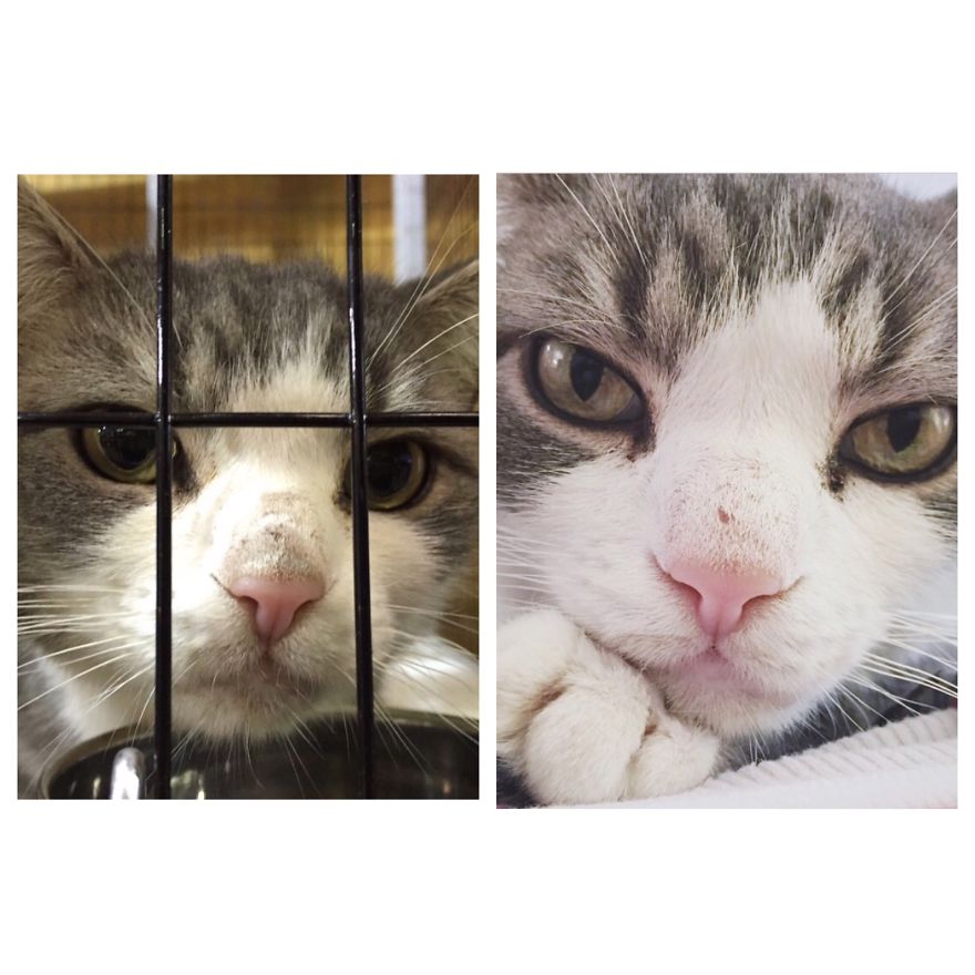 Mr. T, A 13 Year-old Love Bug