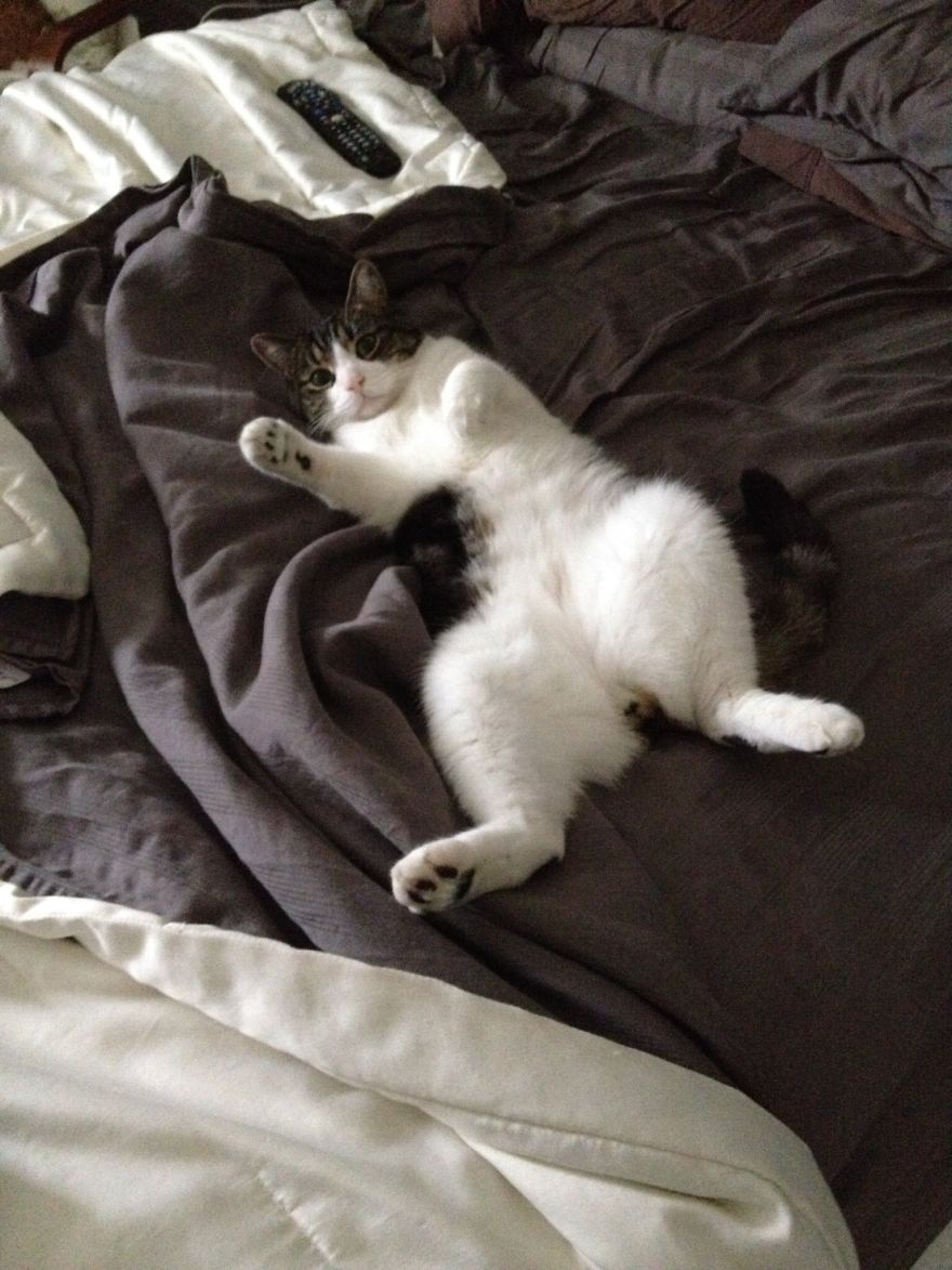 Tuffin Now Tuffy Today