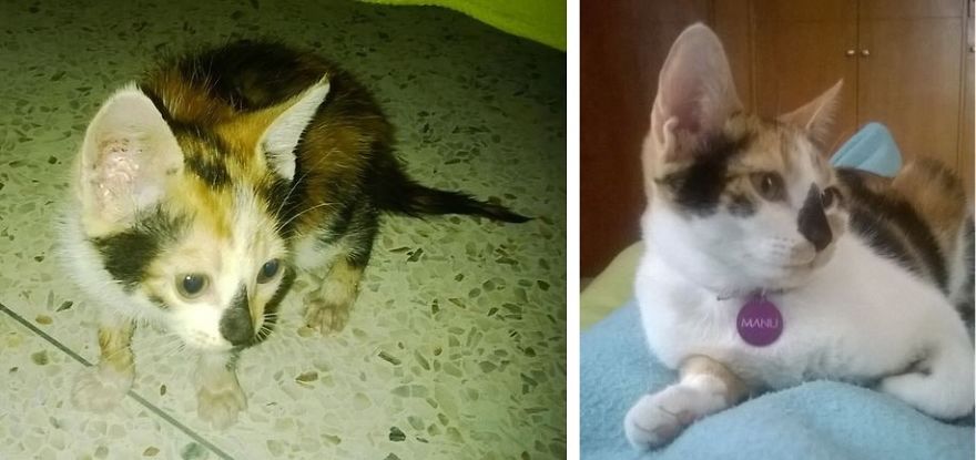 Manu Just When We Rescued From The Stree, Then Six Months Later