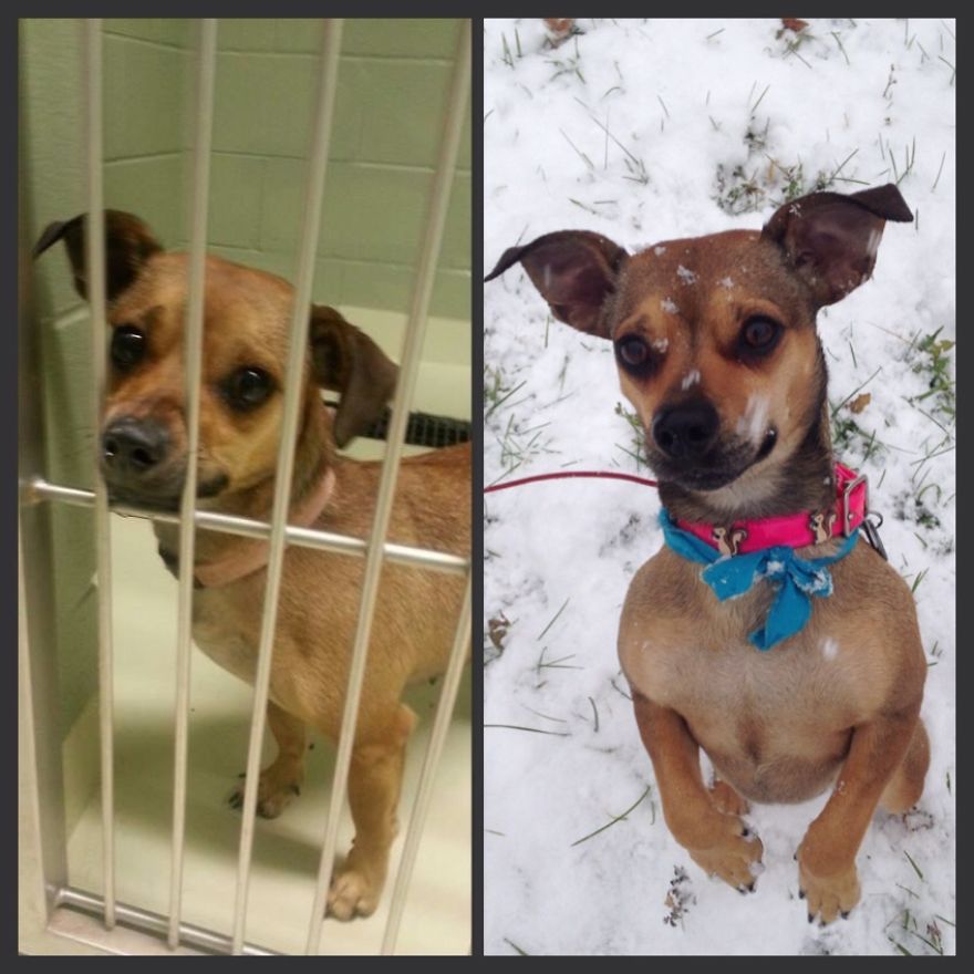 Candy - Before And After!