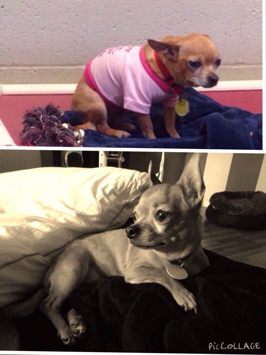 Sophie Before And After