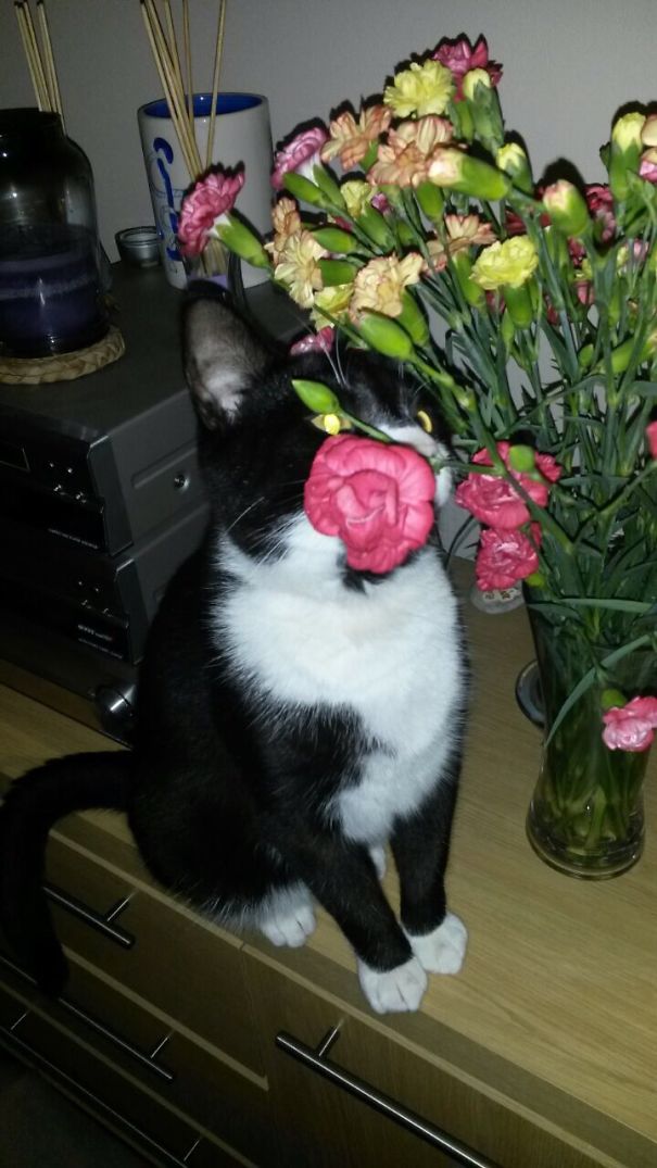 You Can't See Me I'm Hiding!!