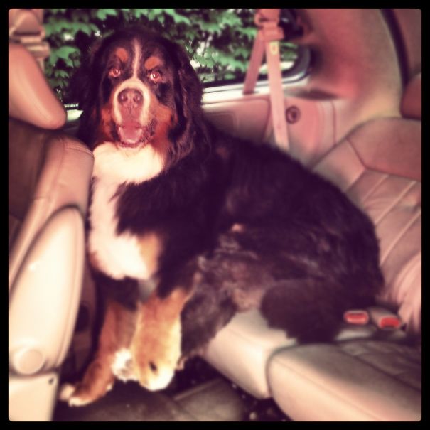 I'm Not Too Big.. Am I!?