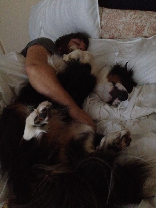 Charlee And Her Human Levi