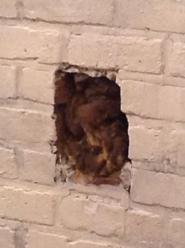 Stuck In The Chimney...